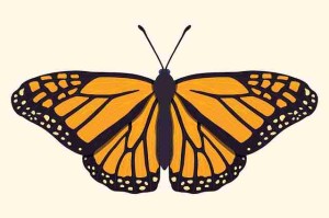 国产探花短视频分发逻辑解析 - 短视频脚本指南，全国探花视频在哪看