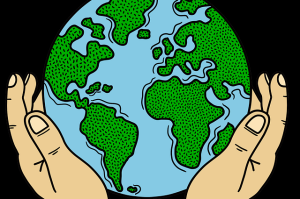 快手成人版达人合作与联动策略-案例研究