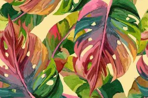 aaa在线观看免费VIP专区内容亮点分析-观看指南