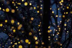 内容更新解析-欧美一区二区三区适合深夜观看影单