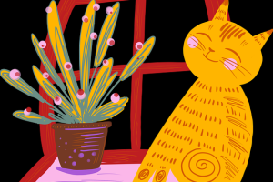 社交推广技巧｜国产探花达人崛起路径解析