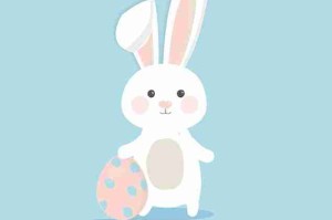 微密圈用户画像深度解析：内容策划方案