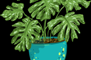 观看指南 - aaa在线观看免费必追剧集整理，aaas