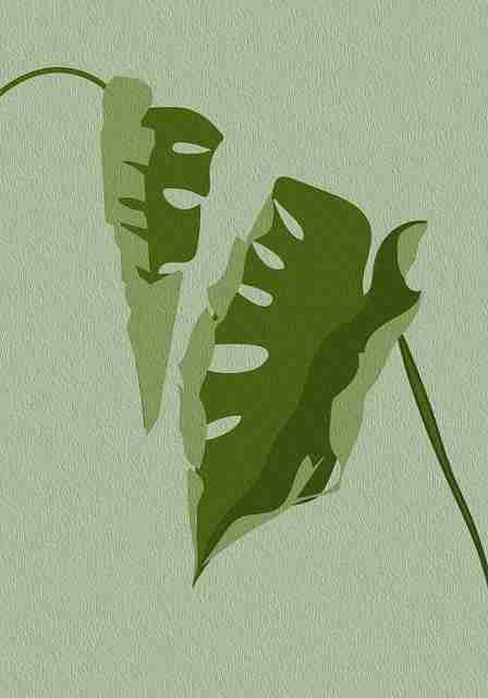 甜度曲线：糖心Vlog色彩情绪试验