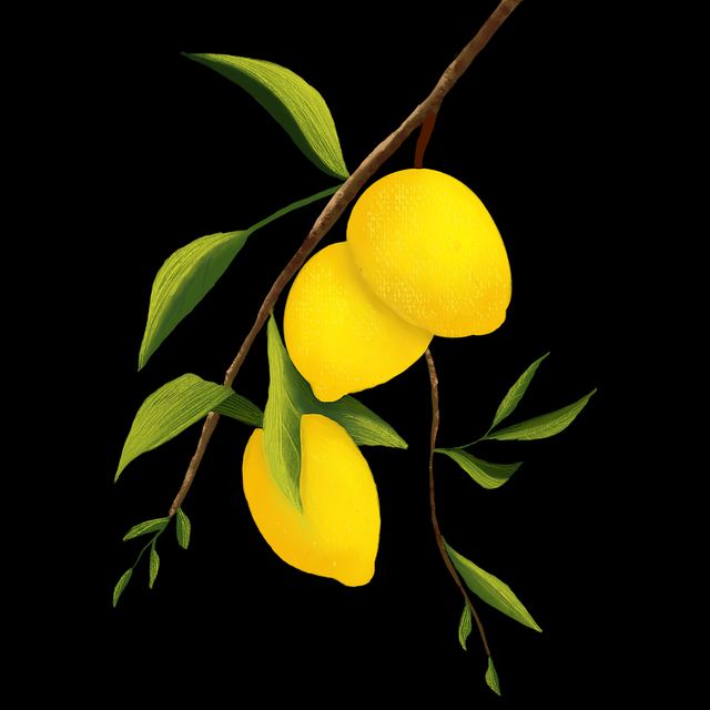 欧美一区二区三区在线视频加载提速方法-影单必看