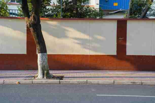 新手入门必读｜成人版抖音短视频审核新规盘点