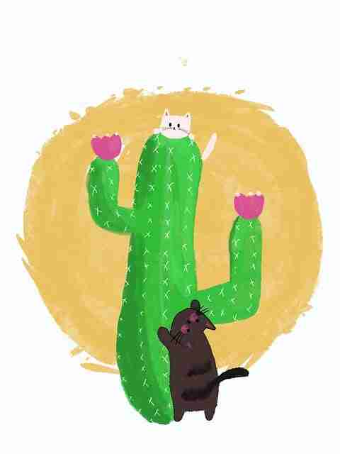 黑料网独家内幕揭秘:法律解读